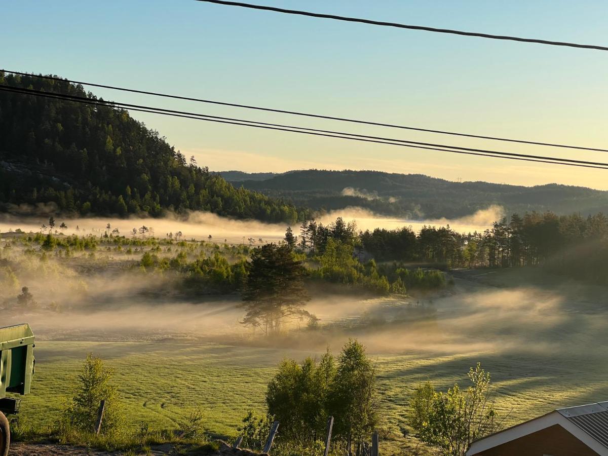 Oggevatn Lägenhet Birkenes Exteriör bild