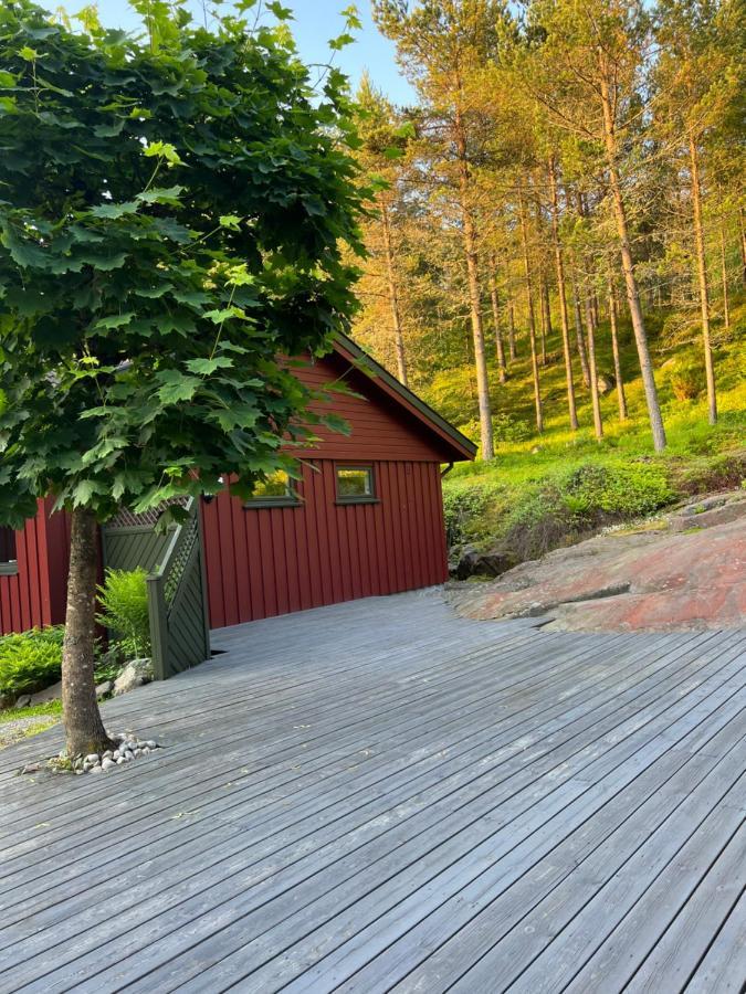 Oggevatn Lägenhet Birkenes Exteriör bild
