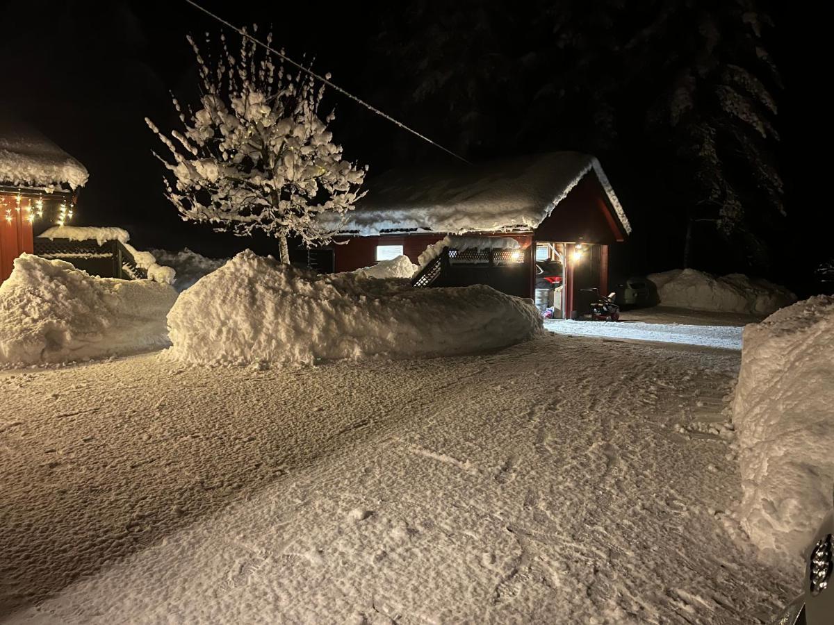 Oggevatn Lägenhet Birkenes Exteriör bild