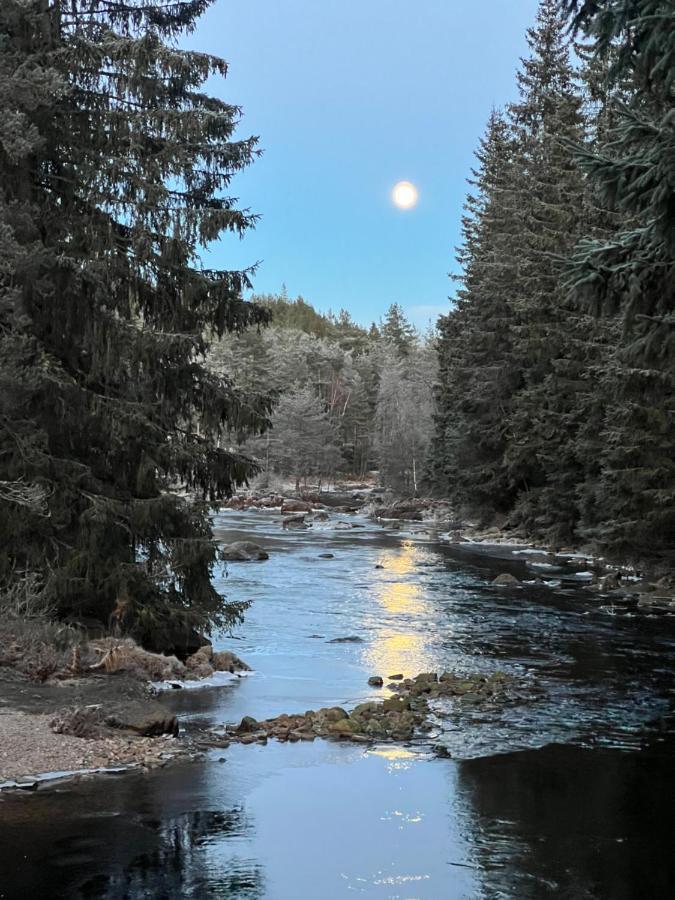 Oggevatn Lägenhet Birkenes Exteriör bild
