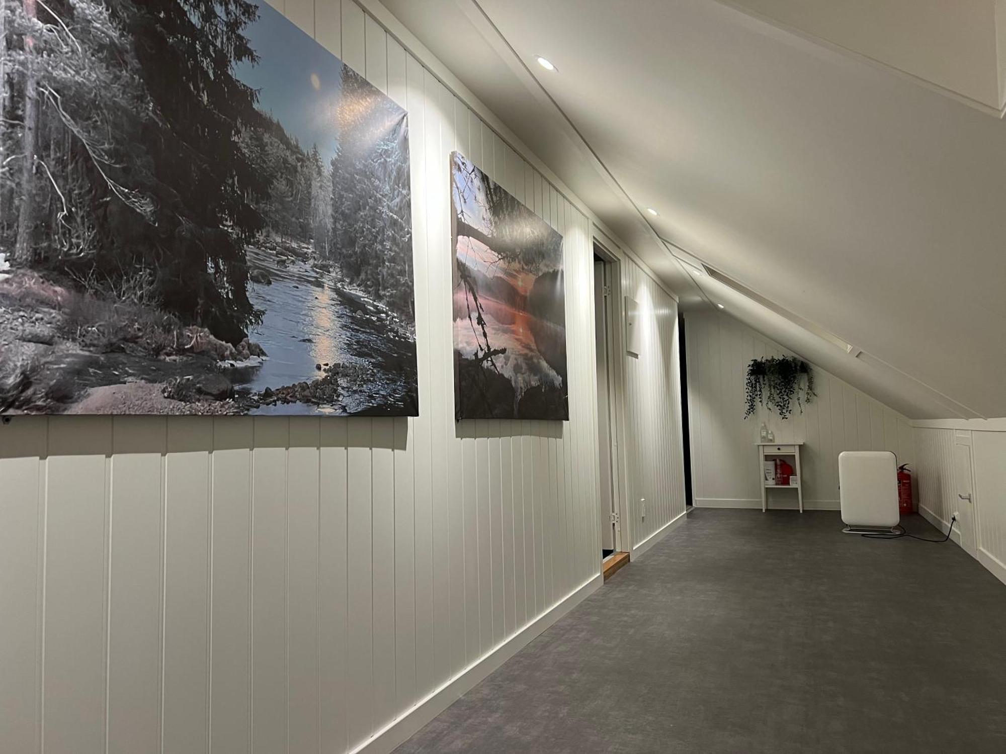 Oggevatn Lägenhet Birkenes Exteriör bild